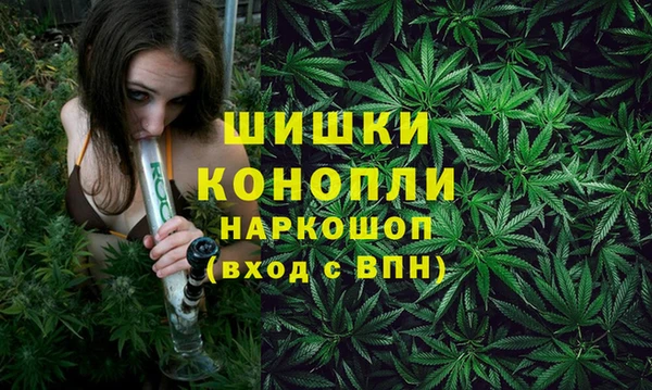 спайс Михайлов