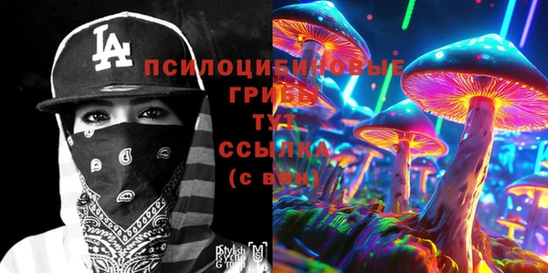 спайс Михайлов