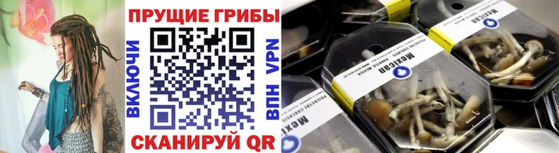 Галлюциногенные грибы Cubensis  Купить где  Юрга 